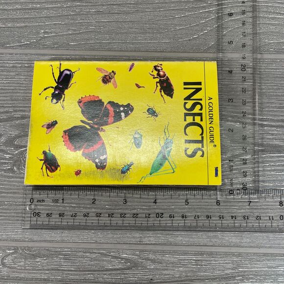 Vintage 1950s Golden Guide Insects Nature Book Detailed Realistic Illustrations - Picture 10 of 10